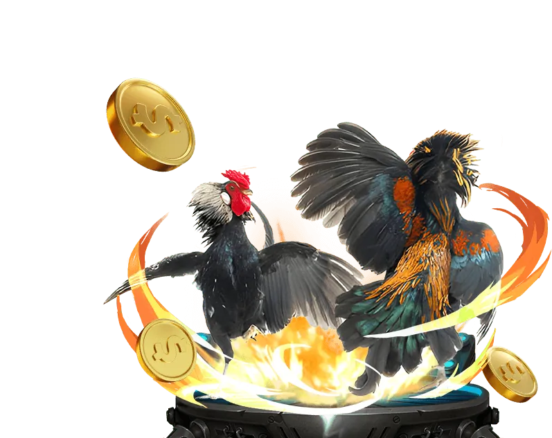 Hình ảnh chương trình khách hàng VIP